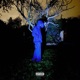 NOIR Single