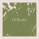 Delicate Single