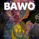 Bawo Single