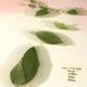 Essence of Eucalyptus EP