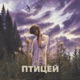Птицей Single