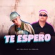 Te Espero Single
