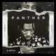 Panther Single