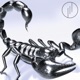 METVLLIC SCORPION EP