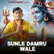 Sunle Damru Wale Single