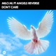 Don t Care feat Angels Reverse