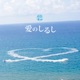 愛のしるし Single