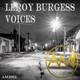Voices Single