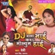 D J Wala Bhai Kare Volume High