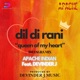 Dil Di Rani Bhangra Mix Single