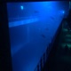 Under The Waters Single