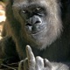 We Don t Give a F k feat Bauer Single
