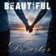 Beautiful Disaster Single