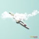 Kamikaze Single