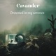 Drowned In My Sorrows Single