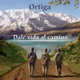 Dale Vida Al Camino Single