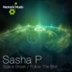 Space Break Follow the Bird Single