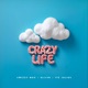 Crazy Life Single