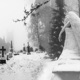 Windy Snowstorm Single