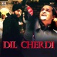 Dil Cherdi feat DJ Sanj Single