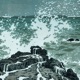 Shore feat farewell Single