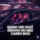 Quero Ver Você Denovo no Meu Carro Bixo Single