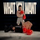 What You Want Single