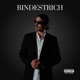 Bindestrich