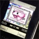 luvrave Single