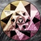 Song The Sound Alchemyst Remix Single
