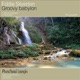 Groovy Babylon Single