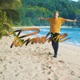 Paradise Single