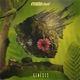 Genesis EP