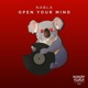 Open Your Mind Extended Mix Single
