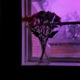Nether feat Sendflowrs Single