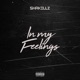 In My Feelings Single