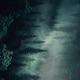 Forest Language B Sides EP