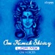 Om Namah Shivay Lofi Mix Single