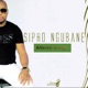 Altered Songs Single