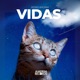 Vidas Single