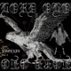 Phoenix Vol 2