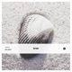 Sea Shell Single