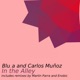 in the Alley Single