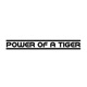 Power of a Tiger Single