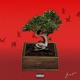 BONSAI Single