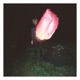 Outside the bot Single