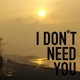 I Don t Need You Single