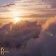 Realms Single