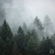 Paradox Single