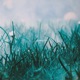 Mist Single